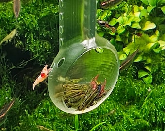 Shrimp Feeder and Viewing Platform - For Shrimp feeding, viewing, study, & photography! Clear Version - Glass like! - 3D Printed Plastic