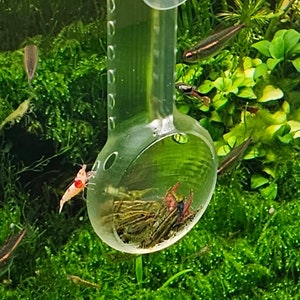 Fish Shrimp Feeder Kit, Multifunctional Transparent Fish Tank Feeding
