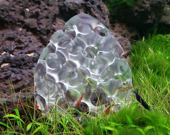 Shrimp Home, Hide, Cave - GYROID CLEAR VERSION - Glass like, but strong! - 3D Printed Plastic - Multiple shapes available!