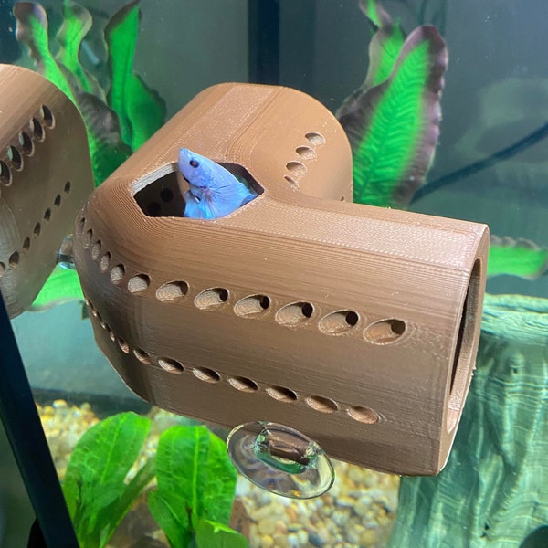 Betta Fish Tank Etsy