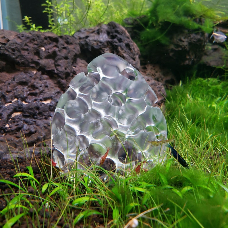 Shrimp Home, Hide, Cave GYROID CLEAR VERSION Glass like, but strong 3D Printed Plastic Multiple shapes available image 1
