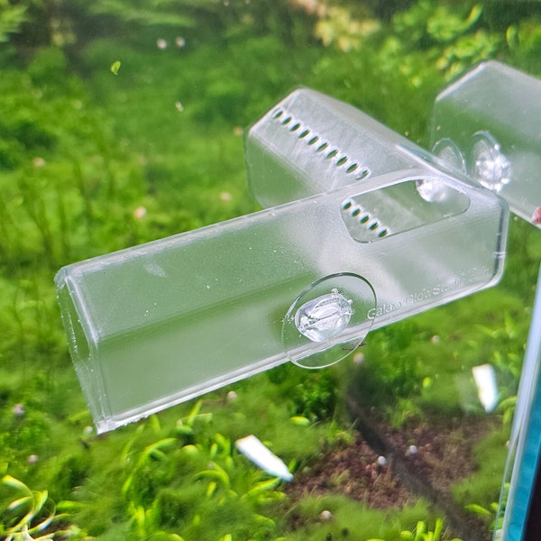 Curved Betta & Axolotl Home, Corner Fish Hide - CLEAR version - 3D Printed Plastic - Aquarium Safe!