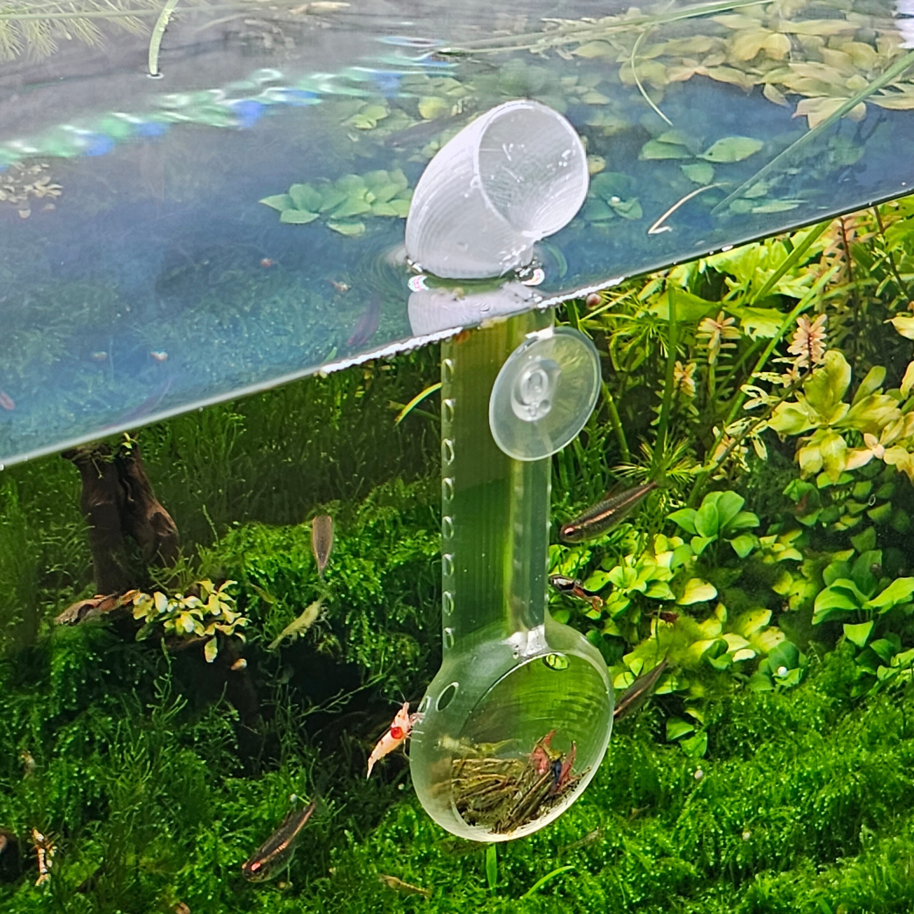 Fish Shrimp Feeder Kit, Multifunctional Transparent Fish Tank Feeding