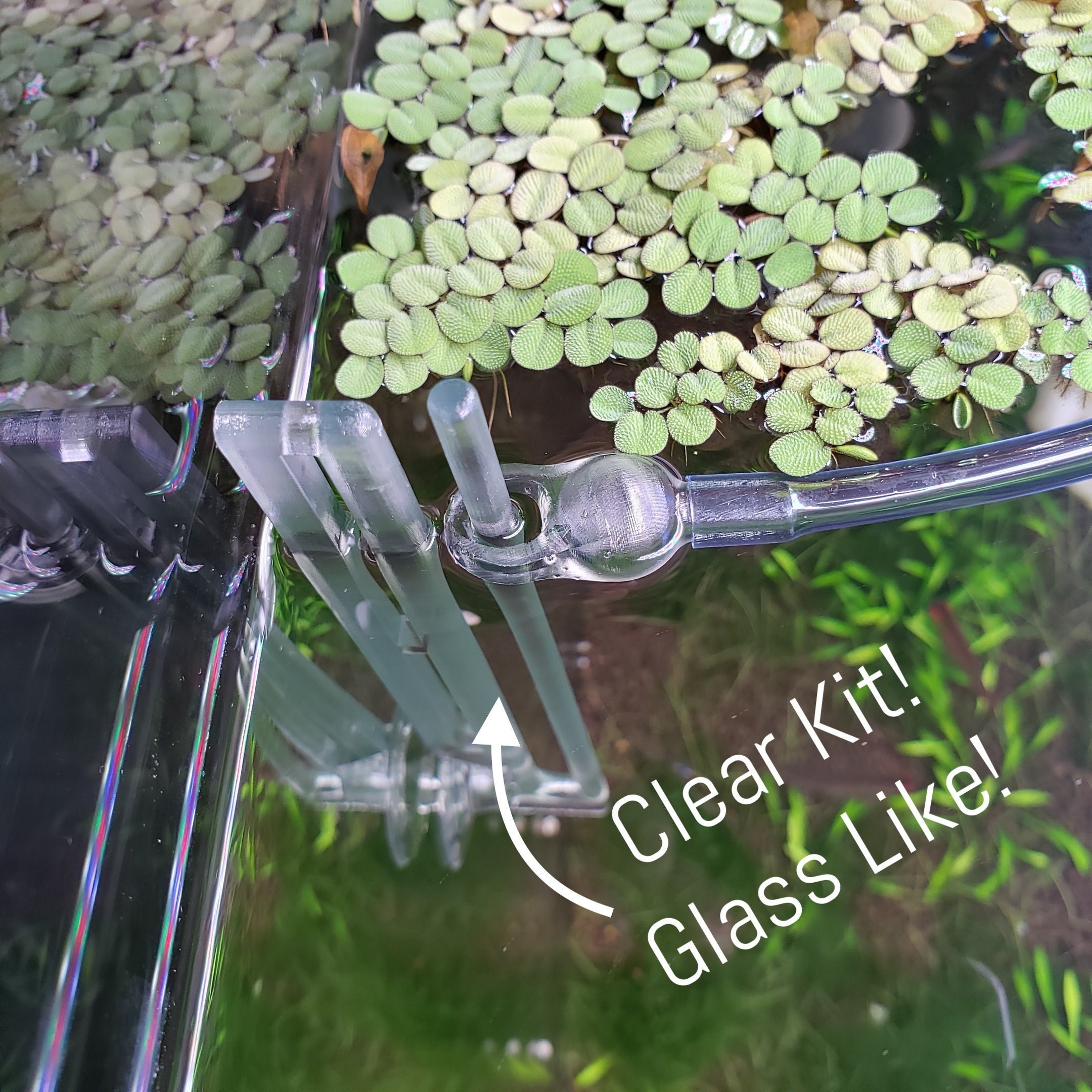 The ORIGINAL Aquarium Floating Plant Corral CLEAR VERSION Etsy Australia