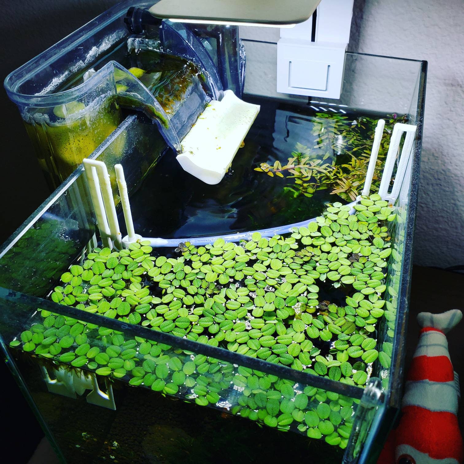 Aquarium Floating Plant Corral 3D Printed ABS Plastic Self