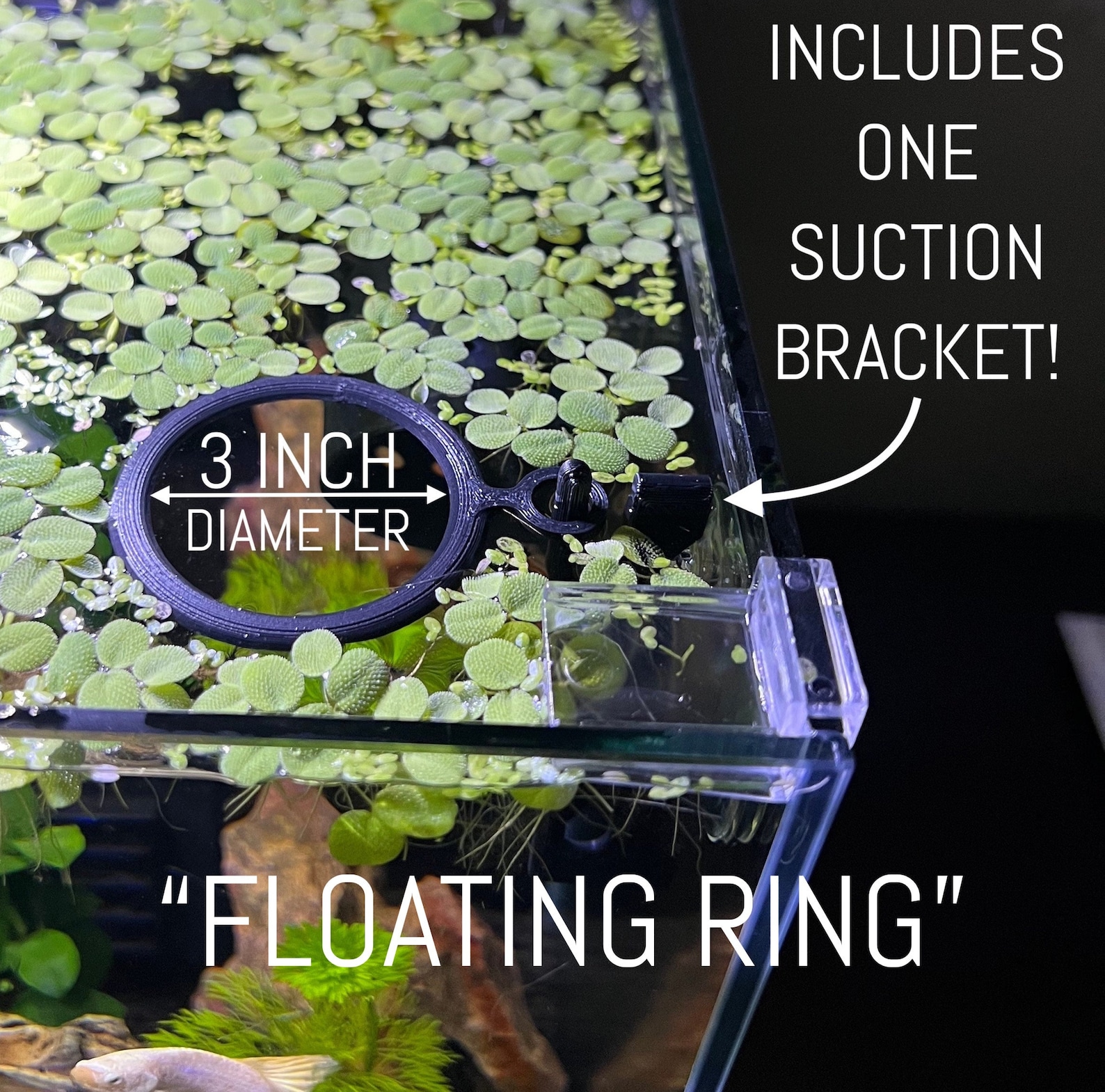 The ORIGINAL Aquarium Floating Plant Corral 3D Printed ABS - Etsy