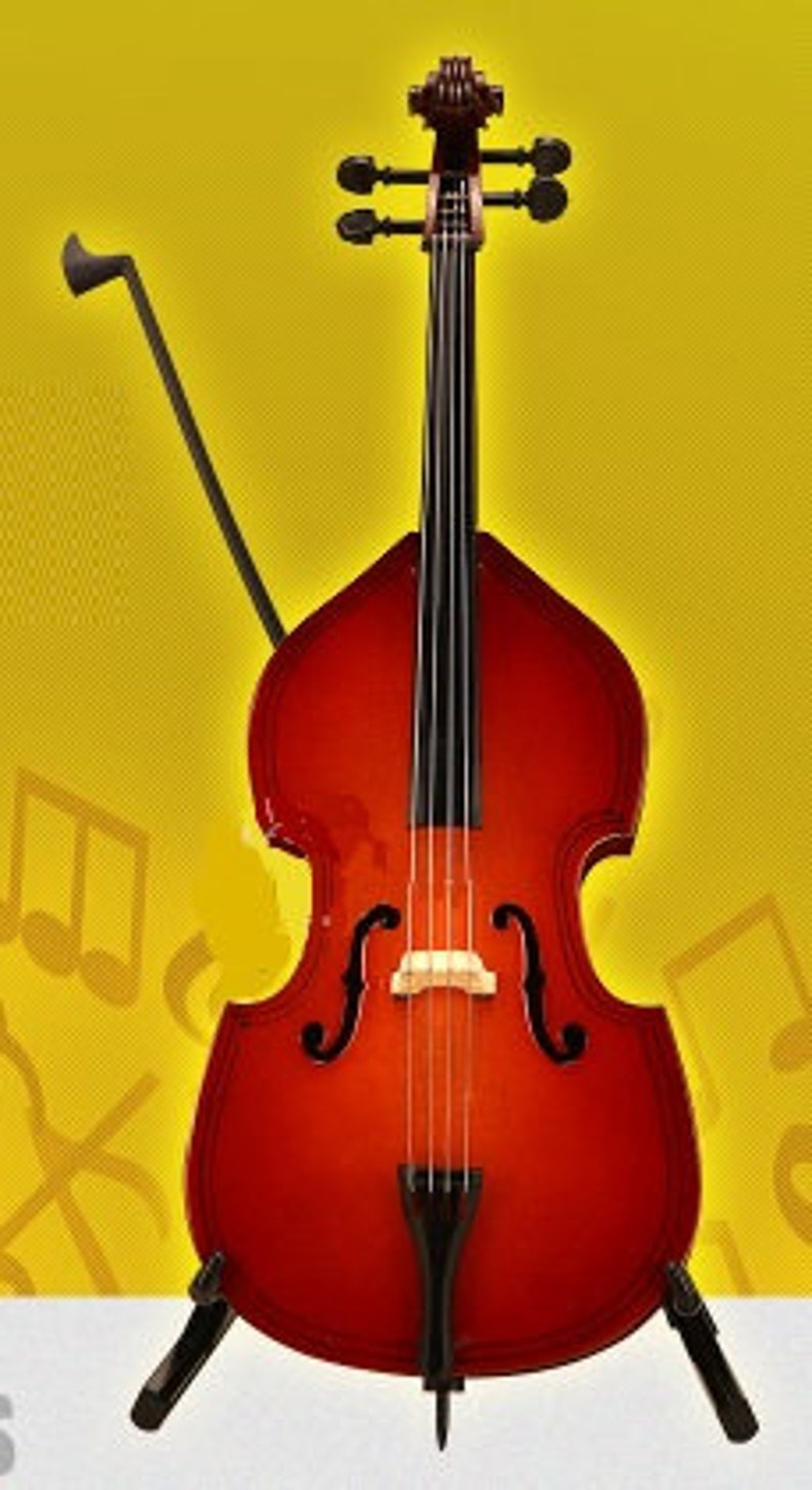 Western Musical Instruments Cello Only for 1/3 Etsy