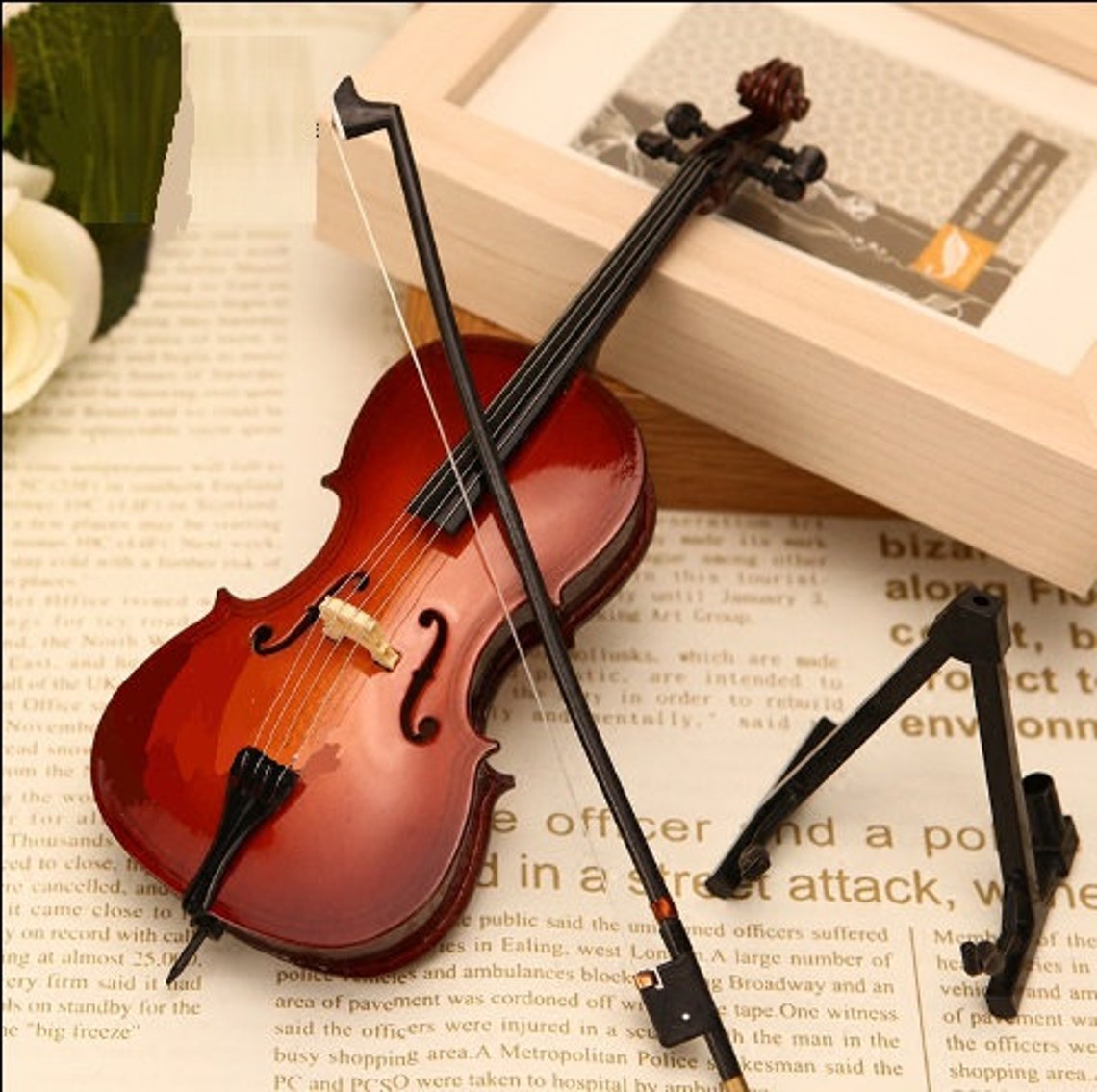 Western Musical Instruments Cello Only for 1/3 Etsy