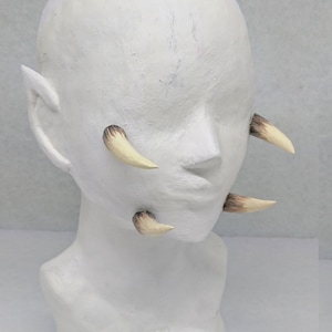 Könnte beinhalten: Ein weißer Mannequin-Kopf mit mehreren kleinen, spitzen, cremefarbenen und braunen Plastikzähnen, die am Gesicht befestigt sind. Die Zähne sind symmetrisch um Mund und Nase angeordnet.