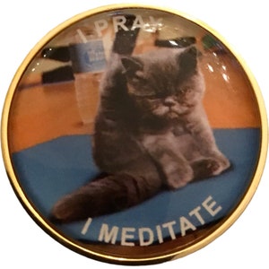 AA, NA, Al-Anon- Keep Coming Back, Meditation Cat