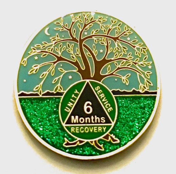 Tri-color Enamel Recovery Token 9 Month AA Sobriety Medallion - Tree Of ...