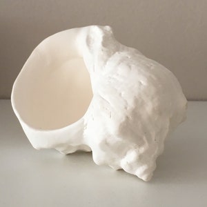 Puede incluir: Una escultura de concha marina blanca y texturizada. La concha tiene un exterior rugoso y orgánico y un interior liso y cóncavo. La escultura es un elemento decorativo, probablemente para la decoración del hogar, y está colocada sobre una superficie blanca.