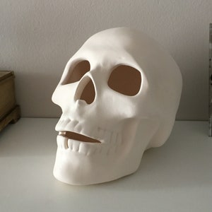 Human Skull, Ceramic Skull, Unfinished Skull, Ready to Paint, Ceramic Bisque, U-Paint, DIY Project, Halloween Skull, Gift Idea, Home Decor