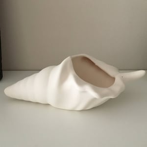 以下が含まれることがあります： 白い陶器製の貝殻のプランター。プランターは、ホラガイの形をしており、上部に広い開口部があります。