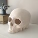 Ceramic Skull, Halloween Skull, Ceramic Sculpture, Day of the Dead, Human Skull, Handmade Skull, Halloween Decor, DIY Project, Fine Art 