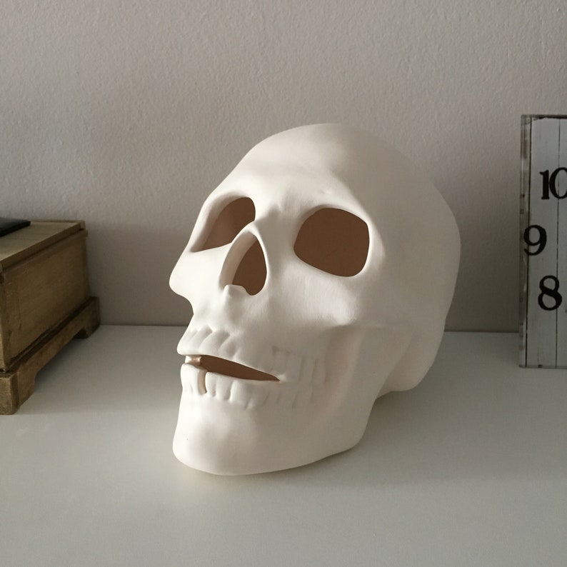 Cráneo humano, cráneo de cerámica, cráneo sin terminar, listo para pintar, bizcocho de cerámica, U-Paint, proyecto de bricolaje, cráneo de Halloween, idea de regalo, decoración del hogar imagen 1