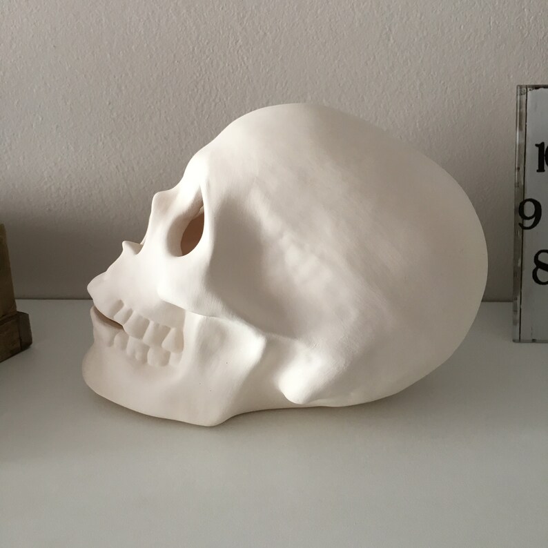 Cráneo humano, cráneo de cerámica, cráneo sin terminar, listo para pintar, bizcocho de cerámica, U-Paint, proyecto de bricolaje, cráneo de Halloween, idea de regalo, decoración del hogar imagen 5