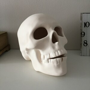 Cráneo humano, cráneo de cerámica, cráneo sin terminar, listo para pintar, bizcocho de cerámica, U-Paint, proyecto de bricolaje, cráneo de Halloween, idea de regalo, decoración del hogar imagen 3