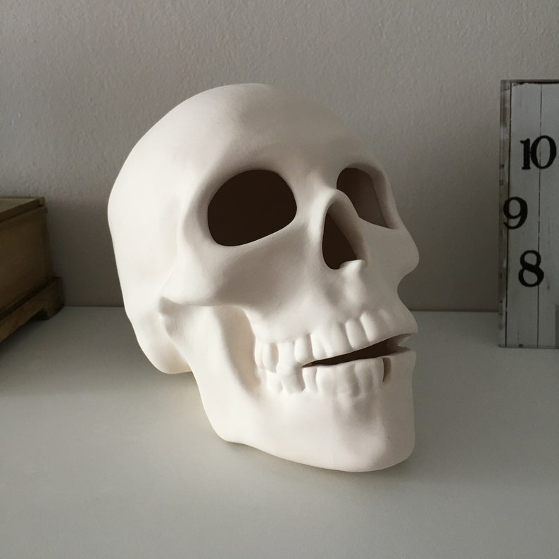 Cráneo humano, cráneo de cerámica, cráneo sin terminar, listo para pintar, bizcocho de cerámica, U-Paint, proyecto de bricolaje, cráneo de Halloween, idea de regalo, decoración del hogar imagen 3