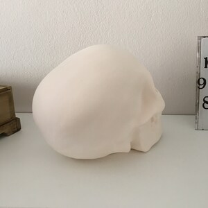 Cráneo humano, cráneo de cerámica, cráneo sin terminar, listo para pintar, bizcocho de cerámica, U-Paint, proyecto de bricolaje, cráneo de Halloween, idea de regalo, decoración del hogar imagen 6