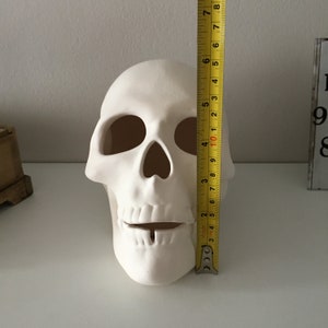 Cráneo humano, cráneo de cerámica, cráneo sin terminar, listo para pintar, bizcocho de cerámica, U-Paint, proyecto de bricolaje, cráneo de Halloween, idea de regalo, decoración del hogar imagen 9