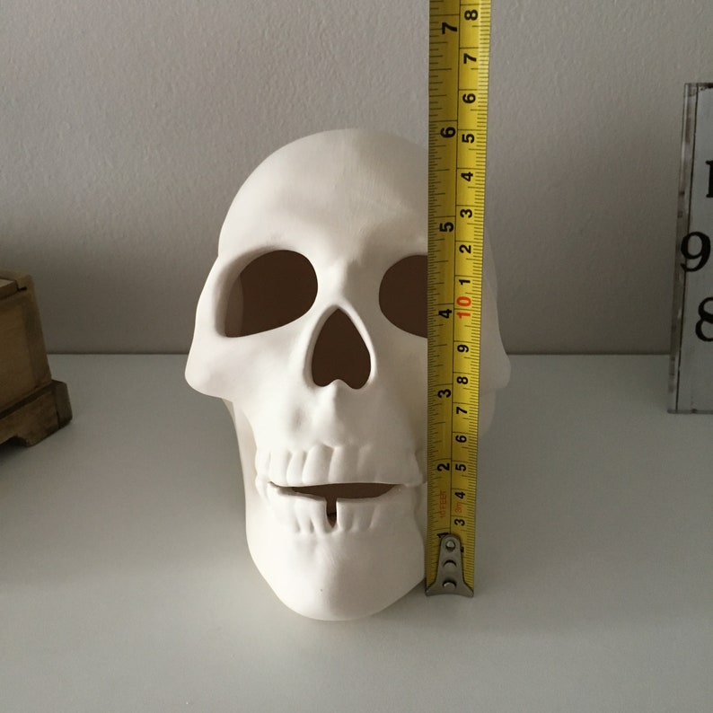 Cráneo humano, cráneo de cerámica, cráneo sin terminar, listo para pintar, bizcocho de cerámica, U-Paint, proyecto de bricolaje, cráneo de Halloween, idea de regalo, decoración del hogar imagen 9