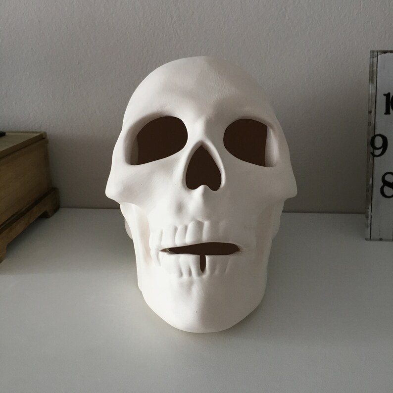 Cráneo humano, cráneo de cerámica, cráneo sin terminar, listo para pintar, bizcocho de cerámica, U-Paint, proyecto de bricolaje, cráneo de Halloween, idea de regalo, decoración del hogar imagen 2