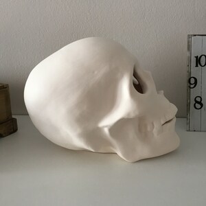 Cráneo humano, cráneo de cerámica, cráneo sin terminar, listo para pintar, bizcocho de cerámica, U-Paint, proyecto de bricolaje, cráneo de Halloween, idea de regalo, decoración del hogar imagen 4