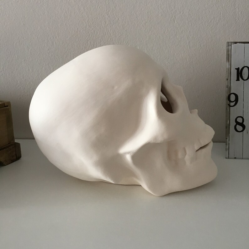 Cráneo humano, cráneo de cerámica, cráneo sin terminar, listo para pintar, bizcocho de cerámica, U-Paint, proyecto de bricolaje, cráneo de Halloween, idea de regalo, decoración del hogar imagen 4