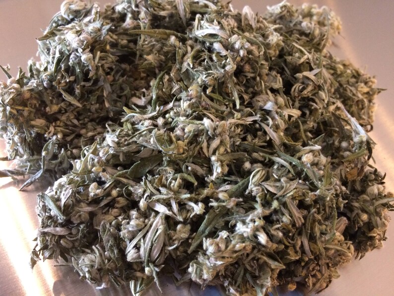 Dried Mugwort herb Artemisia vulgaris organic leaf and flower Etsy