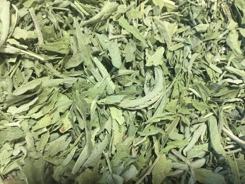 May include: Close-up of a pile of dried green leaves. The leaves are a light green color and have a slightly rough texture.