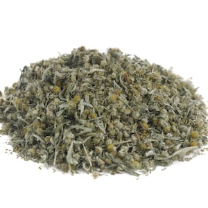 Wormwood dried herb, sustainable USA grown bulk Artemisia absinthium