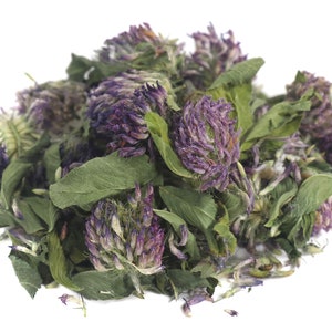 Dried Red Clover blossoms, Trifolium pratense sustainable USA grown