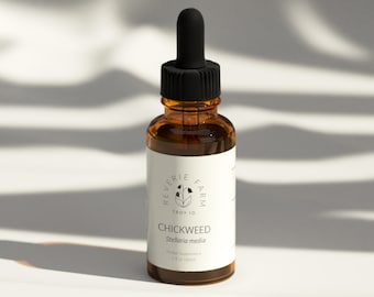 Chickweed Tincture, Stellaria media herb sustainable USA grown