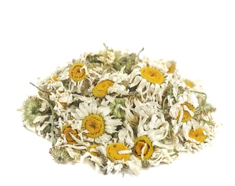Oxeye Daisy, dried Leucanthemum vulgare sustainable USA grown herb