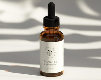 Spilanthes Tincture, Toothache plant sustainable USA grown Acmella oleracea herb