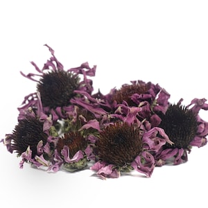 Echinacea dried flower heads, sustainable USA grown Echinacea purpurea whole flowers
