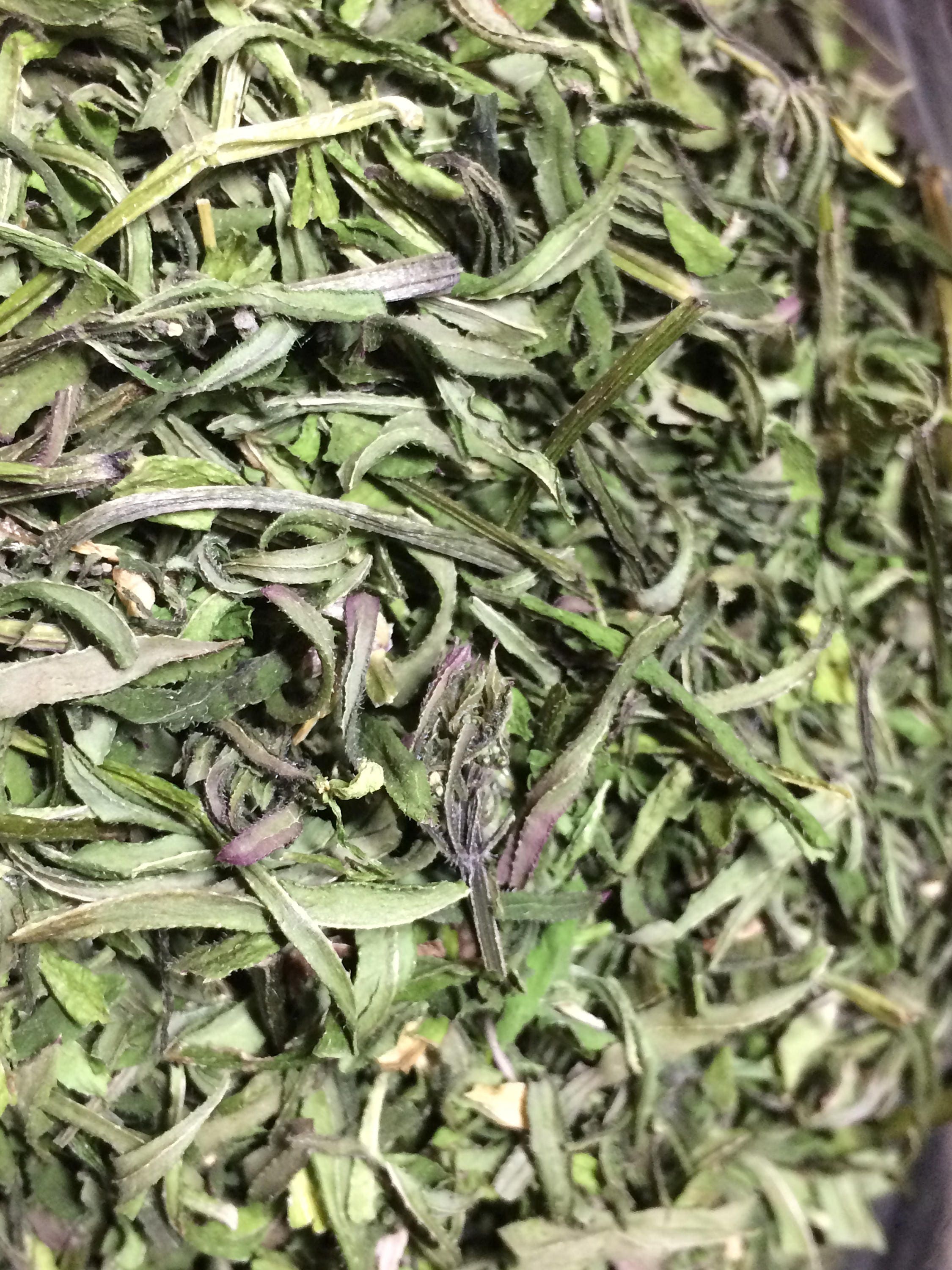 Dried Cleavers herb Galium aparine organic Etsy
