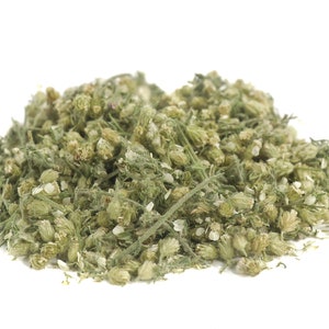 Dried Yarrow, Achillea millefolium leaf and flower sustainable USA grown