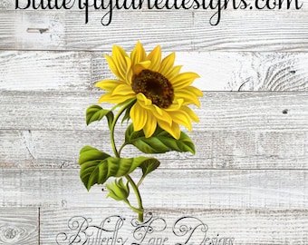 Download Free Yellow Images Etsy PSD Mockup Template