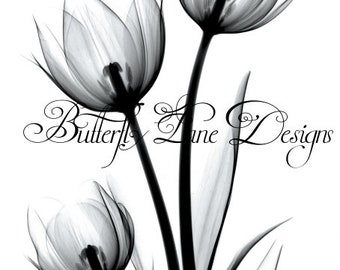 Download X Ray Flowers Etsy