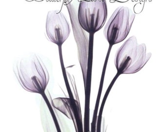 Download X Ray Flowers Etsy