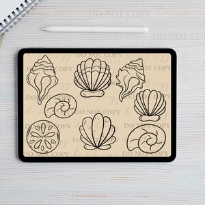 Könnte beinhalten: Schwarz-Weiß-Illustrationen verschiedener Muscheln auf beigem Hintergrund. Die Sammlung umfasst Muscheln, Jakobsmuscheln und Spiralmuscheln. Das Bild wird auf einem schwarzen Tablet angezeigt.