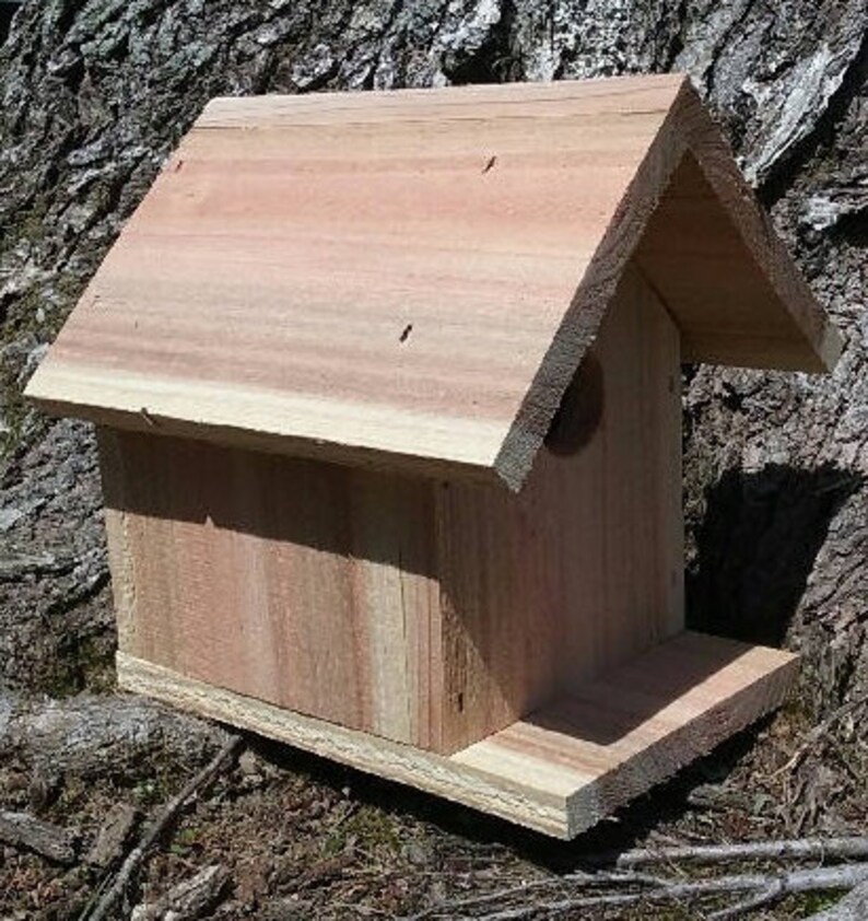 Rustic Cedar Birdhouse Etsy