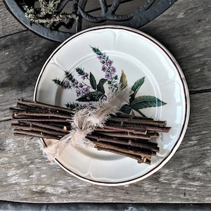 Birch sticks twigs branches floristics decoration wood supply crafts home decor eco friendly supply thin 20 pcs