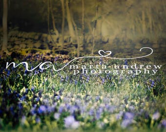Digital background fairy forest bluebells bokeh nature flowers painterly photography portraits magical