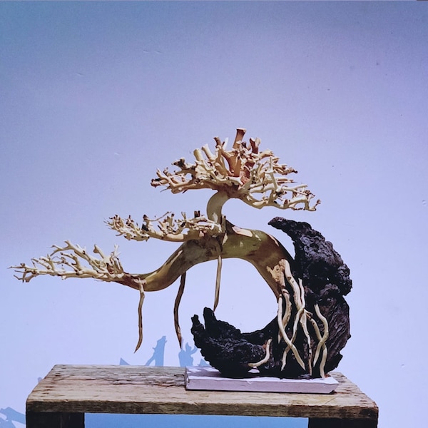 Aquarium driftwood free shipping bonsai drift wood aquascape hardscape fish tank decorations gift for him
