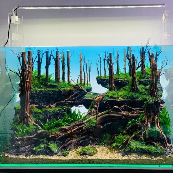 Aquarium driftwood bonsai aquascaping hardscape java fern driftwood fish tank decor gifts for him