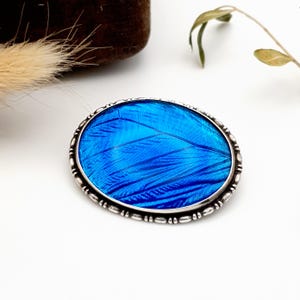 Art deco vintage butterfly wing morpho oval filigree solid 925 sterling silver c clasp brooch
