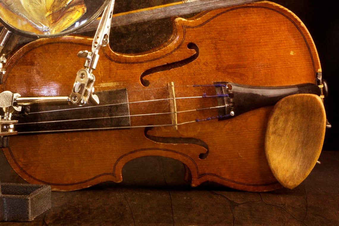 Fish and Violin Photography Download Digital Photo Color | Etsy